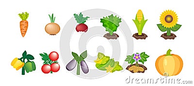 Vector collection of cartoon vegetables icons isolated on white. Illustrations of carrot, onion, beet / radish, lettuce, corn, Vector Illustration