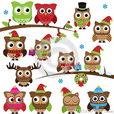 Vector Collection of Christmas Holiday Themed Owls and Branches Vector Illustration