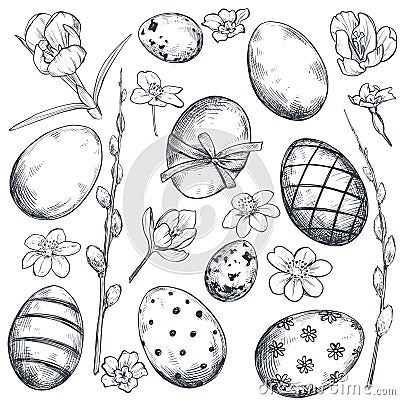 Vector collection of hand drawn ornate Easter eggs and spring flowers Vector Illustration