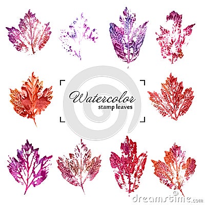 Vector Collection of ink printing leaves isolates on white background Vector Illustration