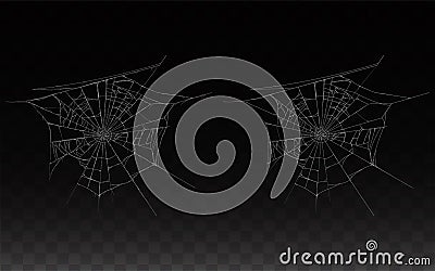 Vector collection of realistic cobweb, spider web Vector Illustration