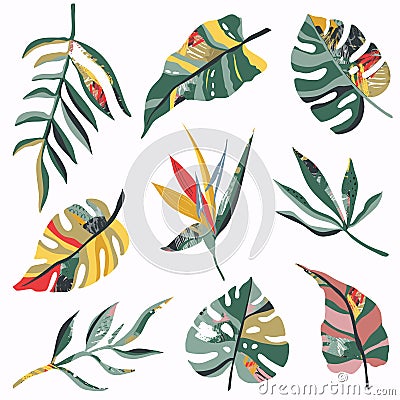 Vector collection of tropical plants and abstract textures Vector Illustration