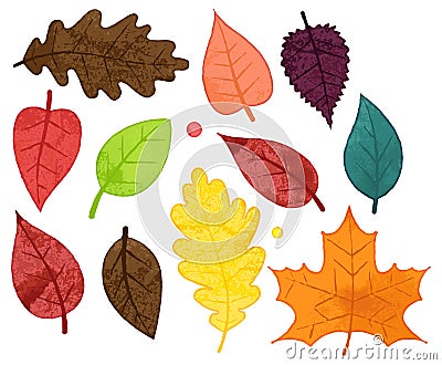 Vector Collection of Watercolor Style Autumn Leaves Stock Photo