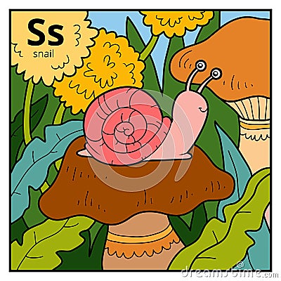 Color alphabet for children, letter S snail Vector Illustration