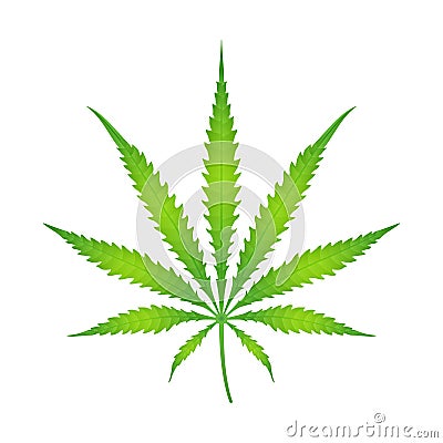 Vector color cannabis marijuana illustration Vector Illustration
