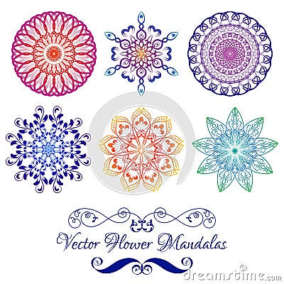 Vector Color Floral Mandala isolated on white Vector Illustration