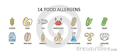 Vector color icons of 14 major food allergens. Editable Stroke. Milk lupine celery peanuts nuts sesame sulphur dioxide crustaceans Vector Illustration