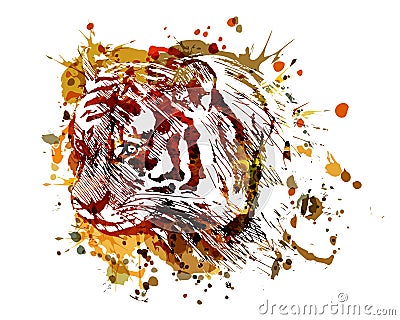 Vector color illustration tiger head Vector Illustration