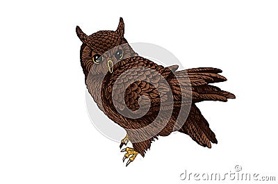 Vector color owl isolated on white background, graphical brown night bird,illustration.Symbol of knowledge Vector Illustration