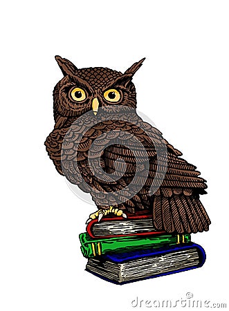 Vector color owl sits on books isolated on white background, graphical brown night bird,illustration.Symbol of knowledge Vector Illustration