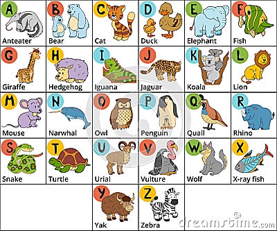 Vector color zoo alphabet with cute animals on white background. Vector Illustration