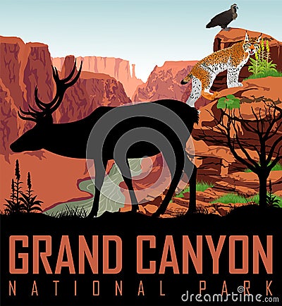 Vector Colorado river in Grand Canyon National Park with deer, eagle and lynx Vector Illustration