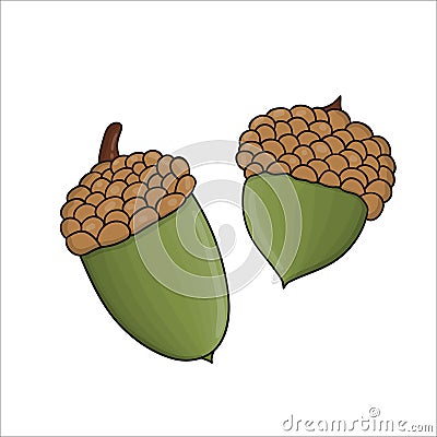Vector colored green oak acorn icon Vector Illustration