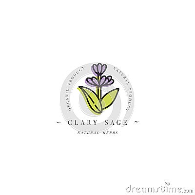 Vector colorful design template logo and emblem healthy herb- clary sage. Logo in trendy linear style isolated on white Vector Illustration