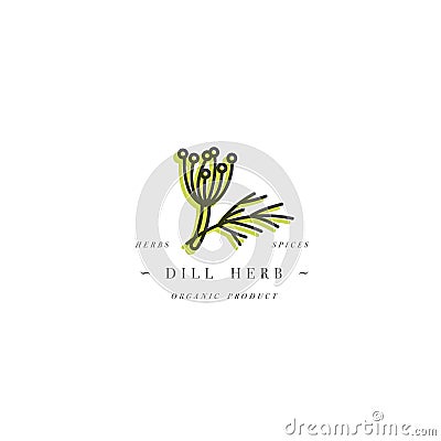 Vector colorful design template logo and emblem healthy herb- dill. Logo in trendy linear style isolated on white Vector Illustration