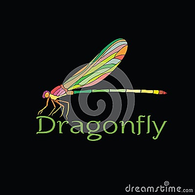 Vector of colorful dragonfly design Amphipterygidae. Vector Illustration