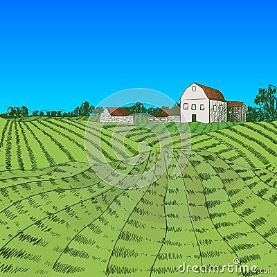 Vector colorful farm illustration, hand drawn farm field and house, summer rural landscape. Vector Illustration