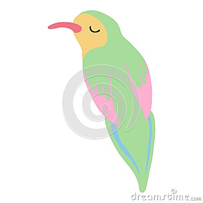 Cute Bird Colorful Illustration Vector Illustration