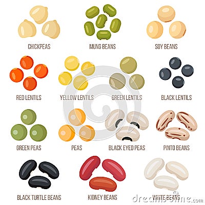 Beans set, vector illustration. Flat style Vector Illustration