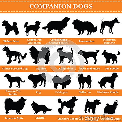 Vector companion dogs silhouettes Vector Illustration