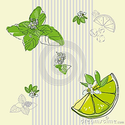 Vector composition Mint Lime Mojito Vector Illustration