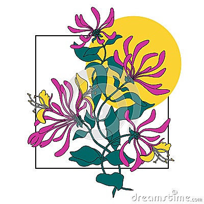 Vector composition of spring pink flowers illustration. Lonicera print background. Bithday card. Vector Illustration