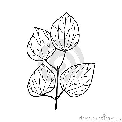 Vector contour branch with leaves Vector Illustration