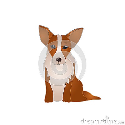 Vector Corgi Colorful Illustration Isolated on White Background. Vector Illustration