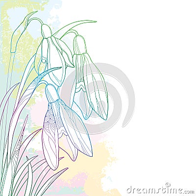 Vector corner bouquet of ornate outline Snowdrop or Galanthus flowers and leaf in pastel pink, blue and green on the white. Vector Illustration