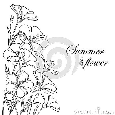 Vector corner bouquet with outline Flax plant or Linseed or Linum. Flower bunch, bud and leaf in black isolated on white. Vector Illustration