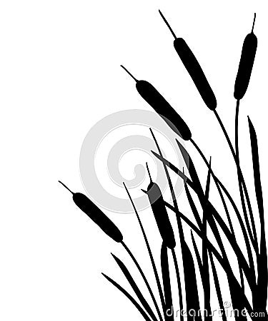 Vector corner bunch of Bulrush or reed or cattail or typha leaves silhouette in black isolated on white background. Vector Illustration