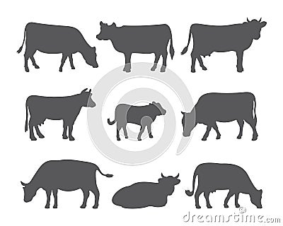 Vector cow and calf silhouettes in different poses. Set of cows isolated on white background. Vector Illustration