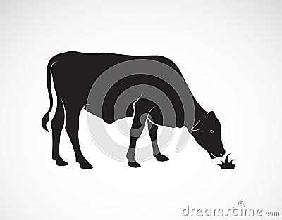 Vector of a cow is eating grass on white background.Farm Animal. Vector Illustration