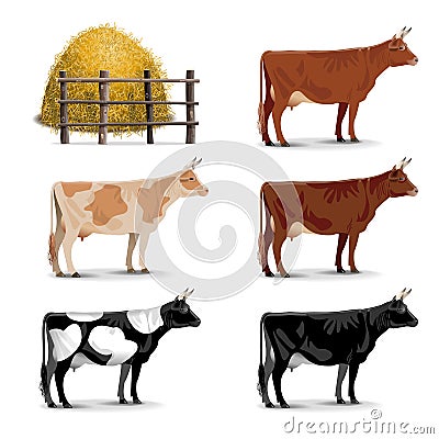 Vector Cow Icons Vector Illustration