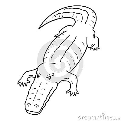 Vector of crocodile Vector Illustration