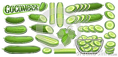 Vector Cucumber Set Vector Illustration