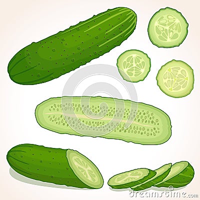 Vector Cucumber Vector Illustration