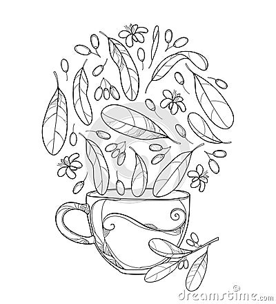 Vector cup of Cocaine plant or Erythroxylum coca herbal tea. Ornate outline leaf, fruit and flower in black isolated on white. Vector Illustration