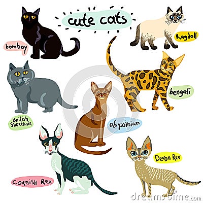 Set of cartoon cats characters Vector Illustration