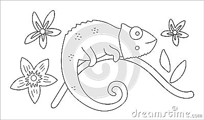 Vector cute chameleon on a tree brunch outline. Funny tropical exotic animal black and white illustration. Fun coloring page for Vector Illustration