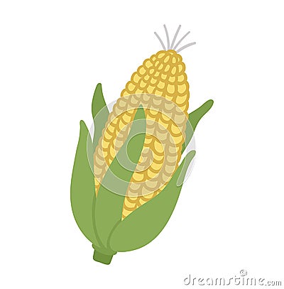 Vector cute corn cob. Autumn vegetable. Flat style yellow veggie. Funny illustration isolated on white background. Healthy food Vector Illustration