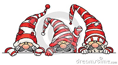 Vector cute gnomes cartoons hiding by blank. Vector Illustration