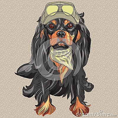Vector Cute hipster dog Cavalier King Charles Span Vector Illustration