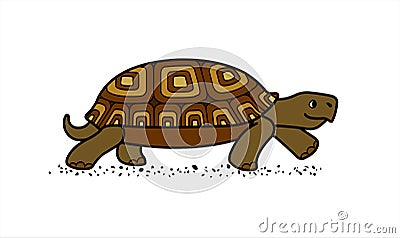 Vector cute land tortoise with patterned shell, side view; isolated on a white background; symbol of slowness Stock Photo