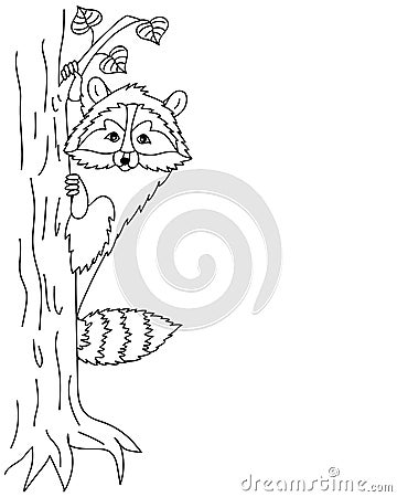 Vector Cute Raccoon Sitting on Tree, Coon Clipart Vector Illustration