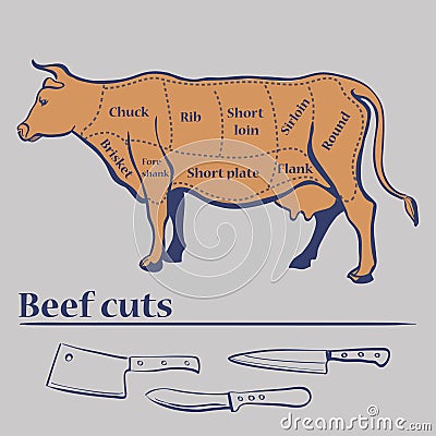 Vector cuts of cow Vector Illustration