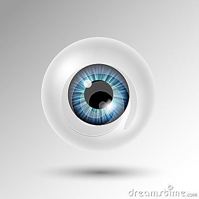 Vector 3d human eyeball with blue iris and shadow isolated on white background Vector Illustration