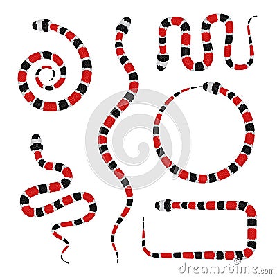 Vector 3d Illustration of Coral Snake or Micrurus Isolated on White Vector Illustration