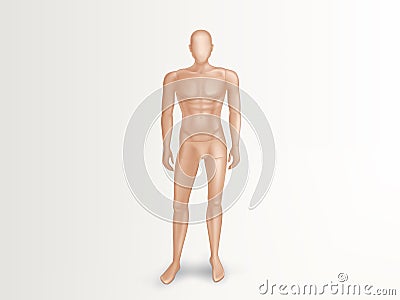 Vector 3d male mannequin, nude plastic dummy Vector Illustration