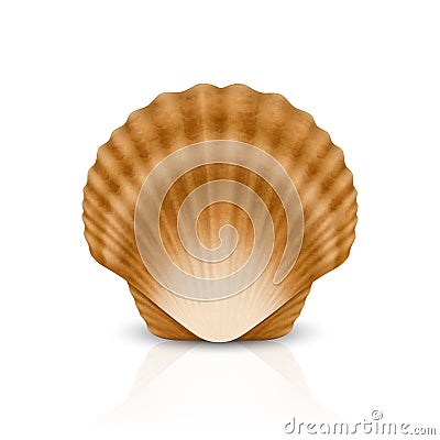 Vector 3d Realistic Brown Closed Scallop Pearl Seashell Icon Closeup Isolated on White Background. Design Template Vector Illustration